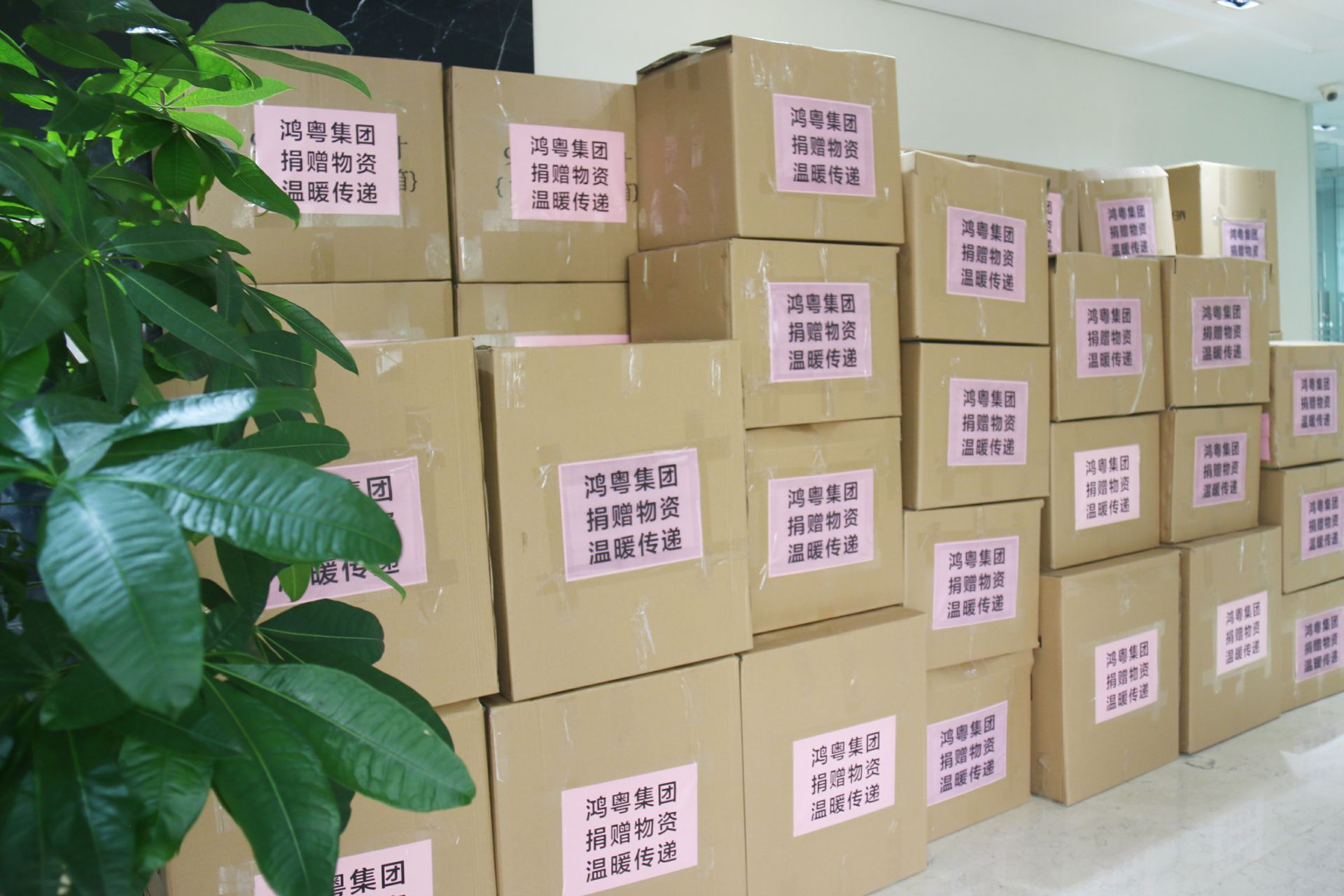 熊猫体育-熊猫体育(中国)官方网站公益回顾丨家国同欢月同圆 温暖满载甘孜州(图1)